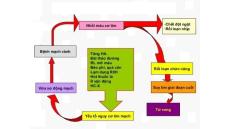 Các yếu tố nguy cơ gây bệnh mạch vành bạn nên biết