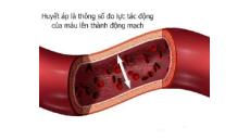 Hiểu biết về huyết áp (Phần 1)