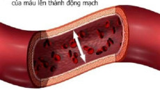 Hiểu biết về huyết áp (Phần 1)