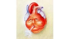 Người bị suy tim có thể dùng được cây dong riềng đỏ không?