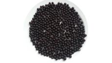 Hướng dẫn đăng ký nhận giống cây thuốc Dong riềng đỏ