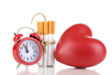 Tư vấn: Hút thuốc lá có hại cho tim mạch như thế nào?