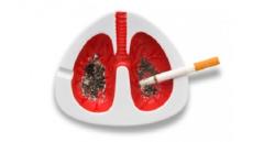 Tư vấn: Những nguyên nhân nào gây ra bệnh lý tim mạch?