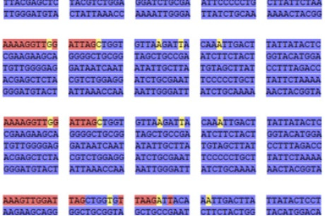 Định danh quần thể Dong riềng đỏ Việt Nam bằng mã vạch DNA