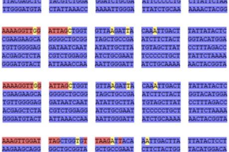 Định danh quần thể Dong riềng đỏ Việt Nam bằng mã vạch DNA