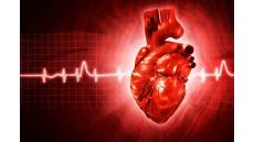 Bệnh thiếu máu cơ tim có khỏi hẳn được không?