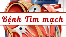Bệnh tim mạch là gì?