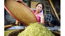 Dong riềng đỏ đã giúp tôi thoát khỏi cơn đau thắt ngực và nỗi lo tái phát nhồi máu cơ tim