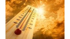 Nắng nóng mùa hè làm nghiêm trọng thêm tình trạng thiếu máu cơ tim