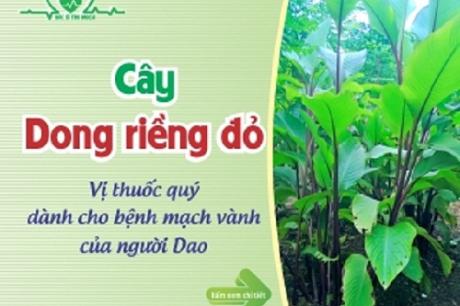 Tóm tắt "Nghiên cứu dịch chiết cây Dong Riềng Đỏ ứng dụng hỗ trợ điều trị bệnh cơ tim thiếu máu cục bộ"