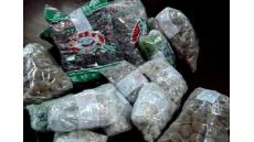 Thực phẩm nhiễm độc chì có hại cho tim mạch như thế nào?