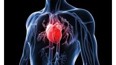 Vì sao bạn không nên chủ quan khi bị bệnh mạch vành