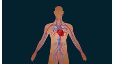 Những điều người bệnh tăng huyết áp cần chú ý khi trời lạnh