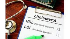 Một số vấn đề về tiêu thụ chất béo – lipid trong khẩu phần ăn hàng ngày