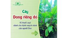 Cardocorz giúp anh Biền hết đau thắt ngực và mệt do thiếu máu cơ tim