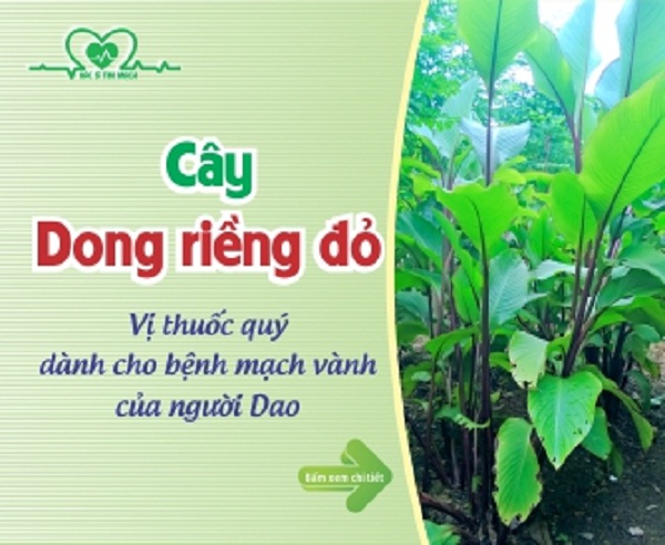 cay-dong-rieng-do