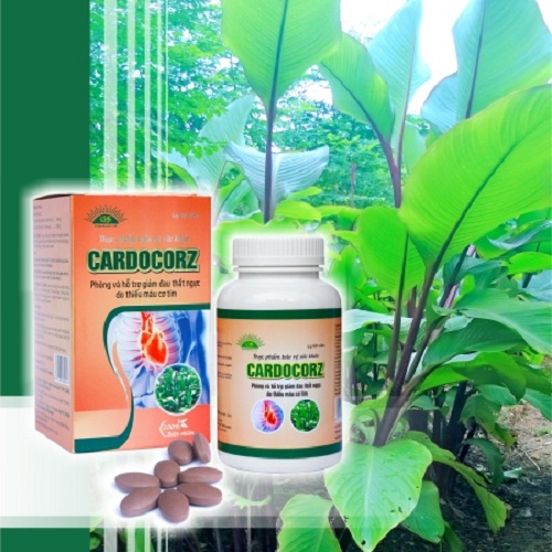 Cardocorz - Thuốc nam hỗ trợ điều trị bệnh mạch vành
