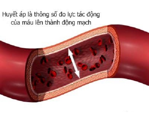 Huyết áp là áp lực của máu lên thành động mạch